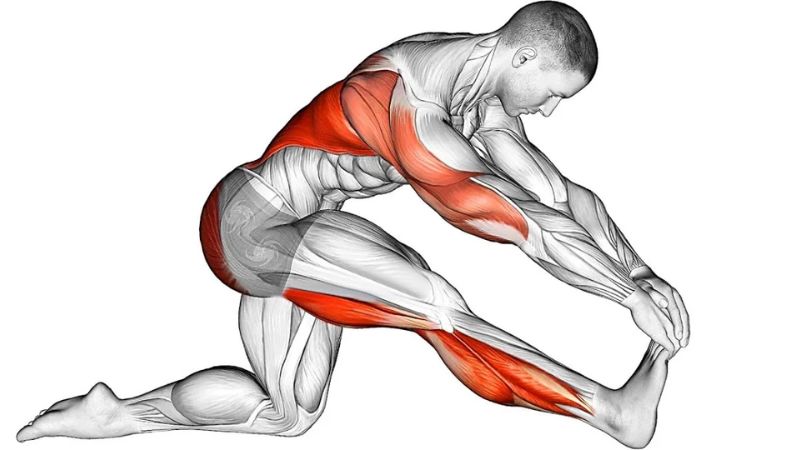 Hướng dẫn các động tác từ cổ đến chân
